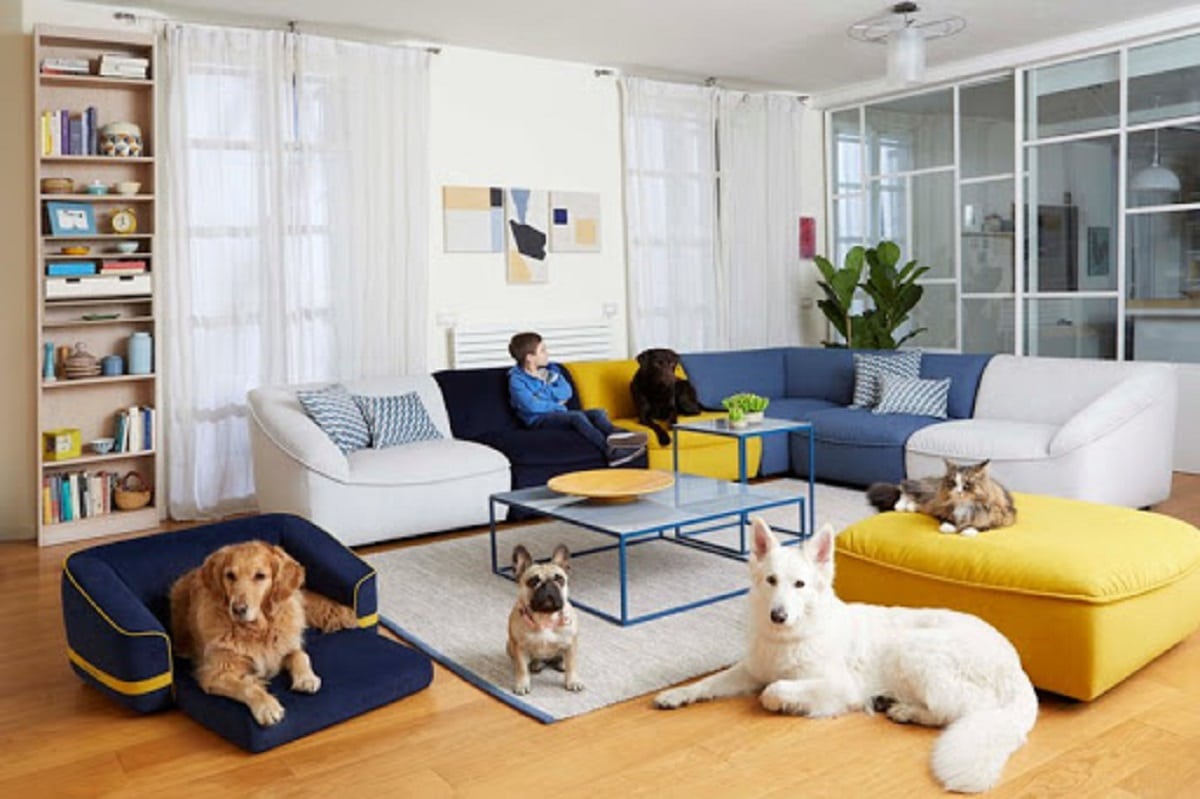 Dondi Salotti spiega come scegliere il tessuto per rivestire il tuo divano - - WoW Home
