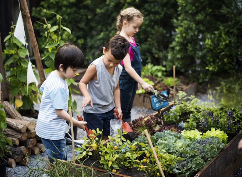 Orto da coltivare: Idee e consigli - - WoW Home